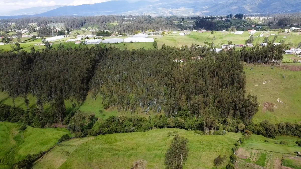 Terreno en Venta | Santa Teresa de Píntag — imagen 9