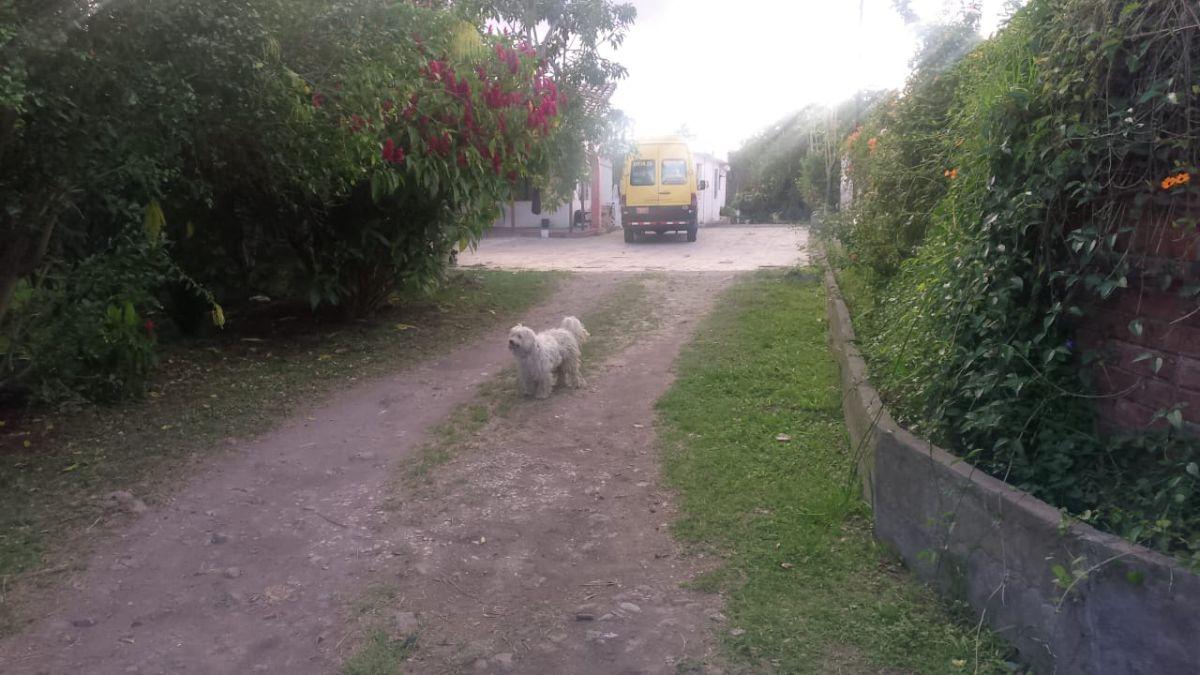 Constructores Venta de Terreno en Oportunidad — imagen 9