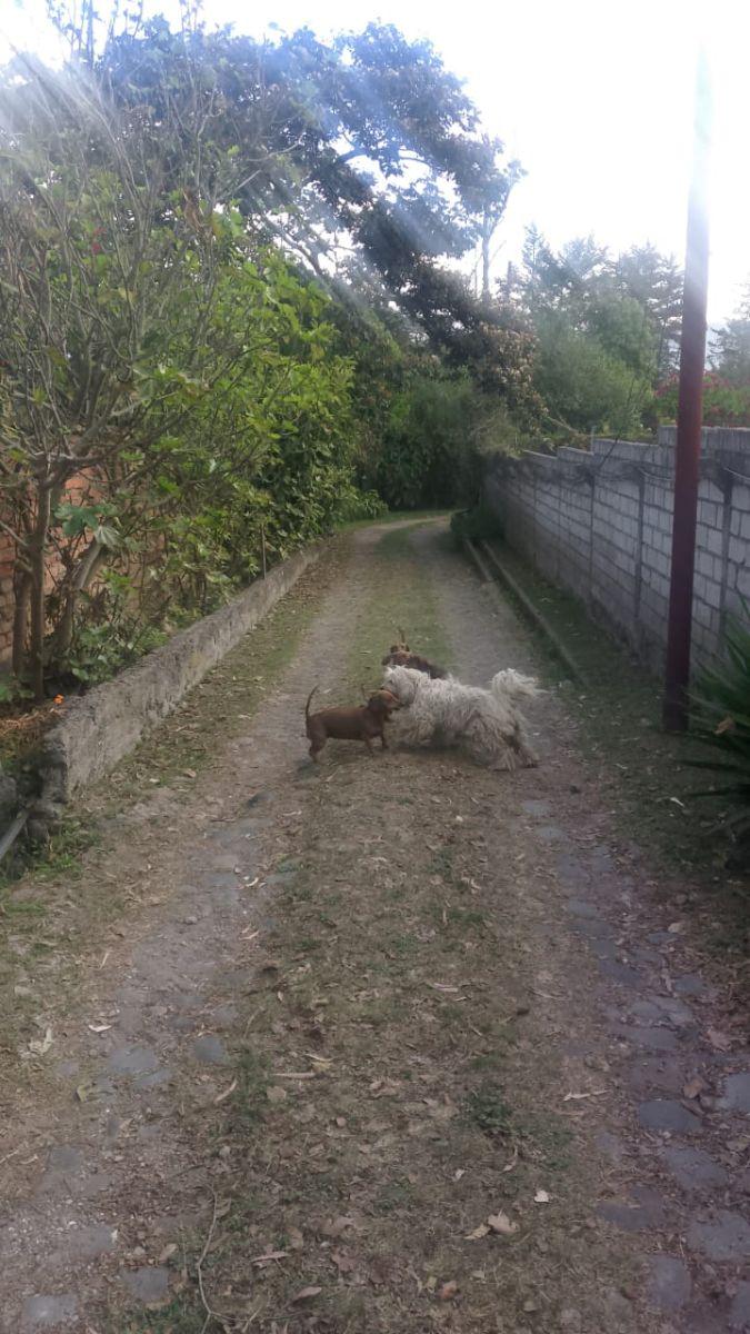 Constructores Venta de Terreno en Oportunidad — imagen 8