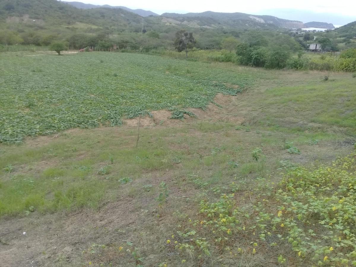 Venta de Terreno Vista Al Mar Machalilla Manabi, Manabí — imagen 10