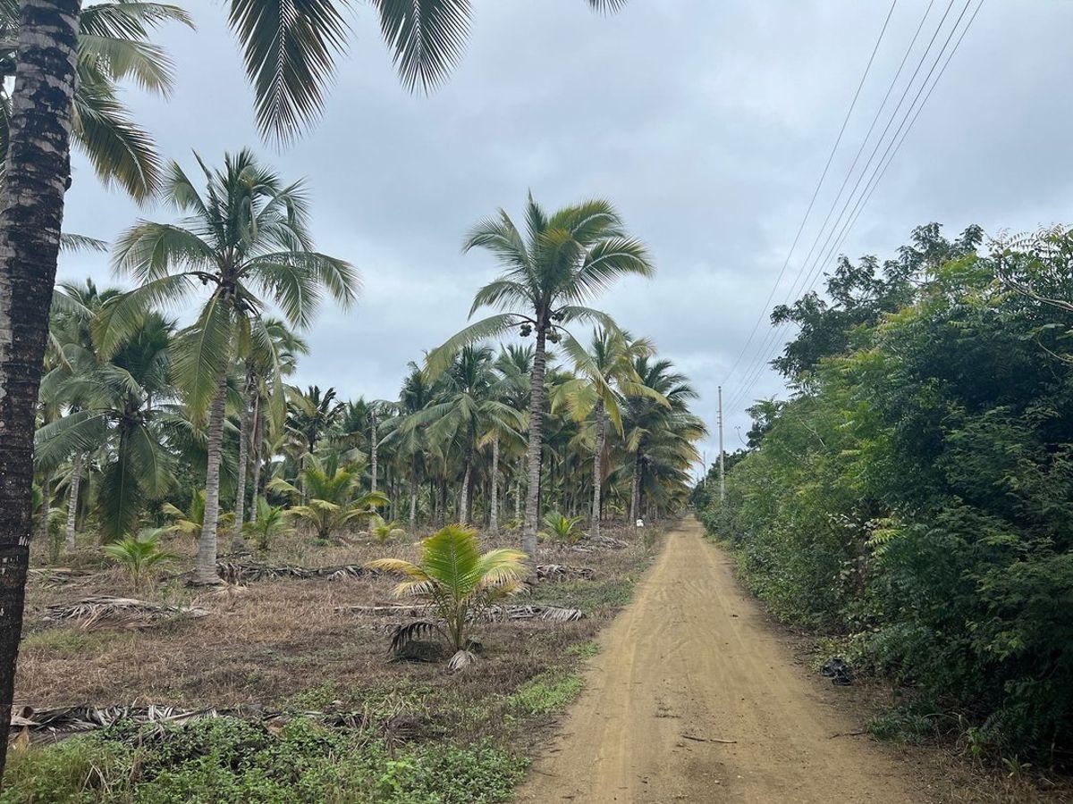 Terreno de Venta en Puerto Cayo Frente Al Mar, Manabí — imagen 10