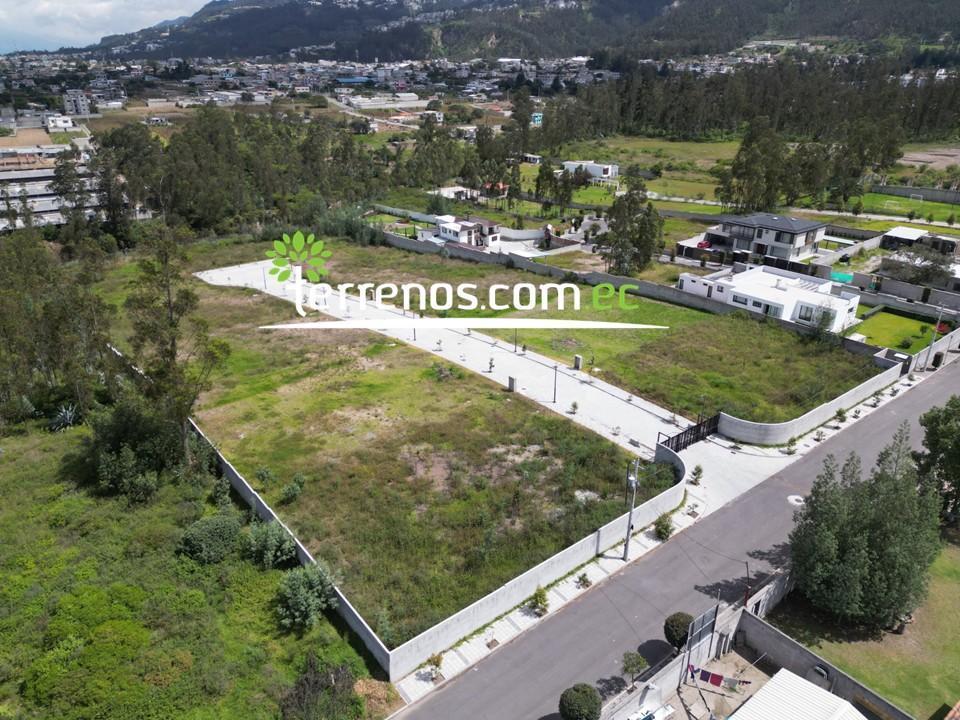 Venta Terreno en Llano Chico 1.000 m² Urb. Privada El Arupo II, 15 Min de Nayon — imagen 8