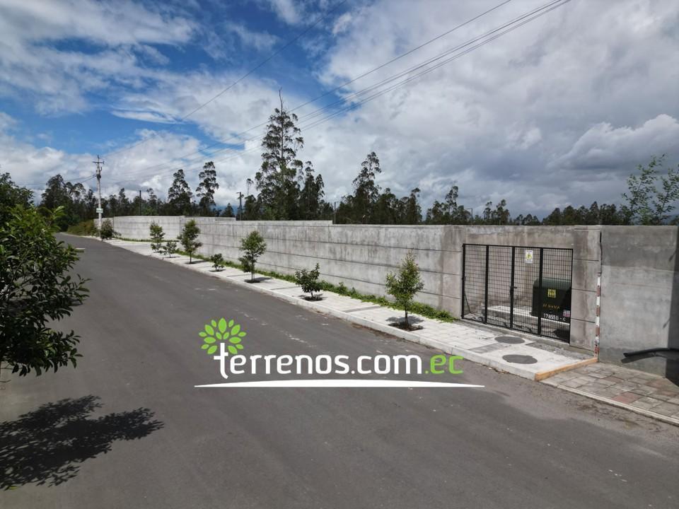 Venta Terreno en Llano Chico 1.000 m² Urb. Privada El Arupo II, 15 Min de Nayon — imagen 6
