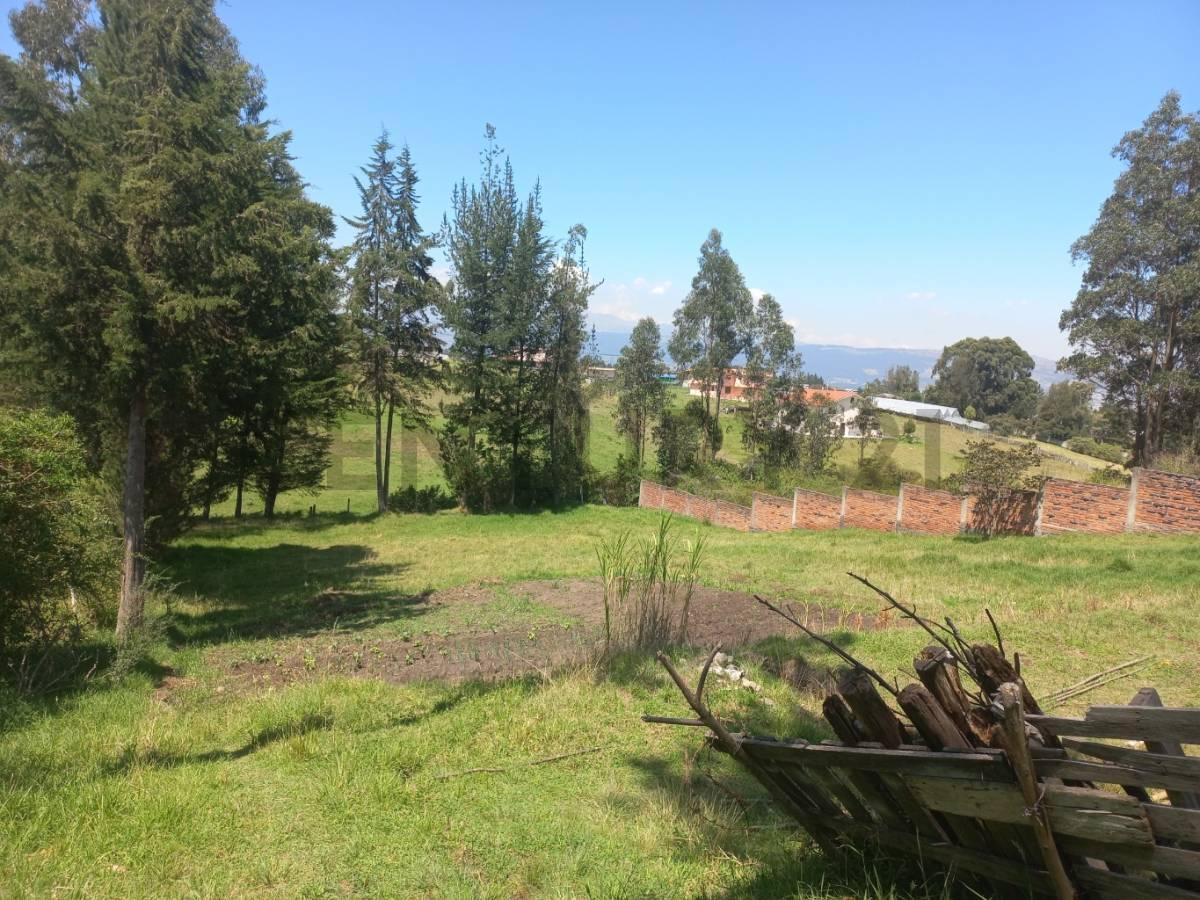 Terreno de Venta en Alangasi — imagen 8