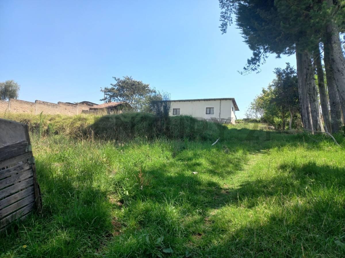 Terreno de Venta en Alangasi — imagen 7