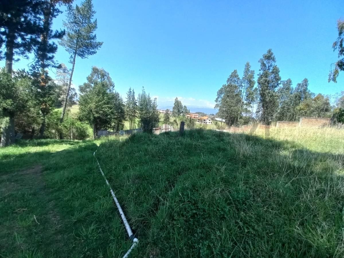 Terreno de Venta en Alangasi — imagen 6