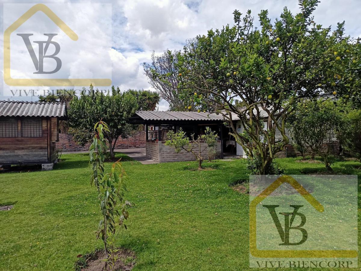 Conocoto 2 Casas de Una Planta en Venta Cerca Av Ilalo Ideal Para Geriátrico, Escuela — imagen 6
