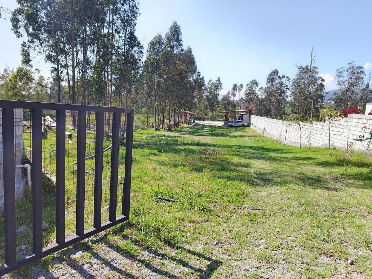 Terreno 2.300 m² con Cerrramiento, Llano Chico Excelente Urbanización — imagen 10