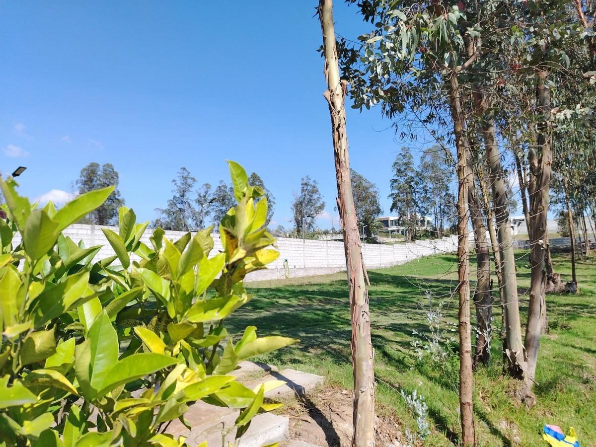 Terreno 2.300 m² con Cerrramiento, Llano Chico Excelente Urbanización — imagen 9