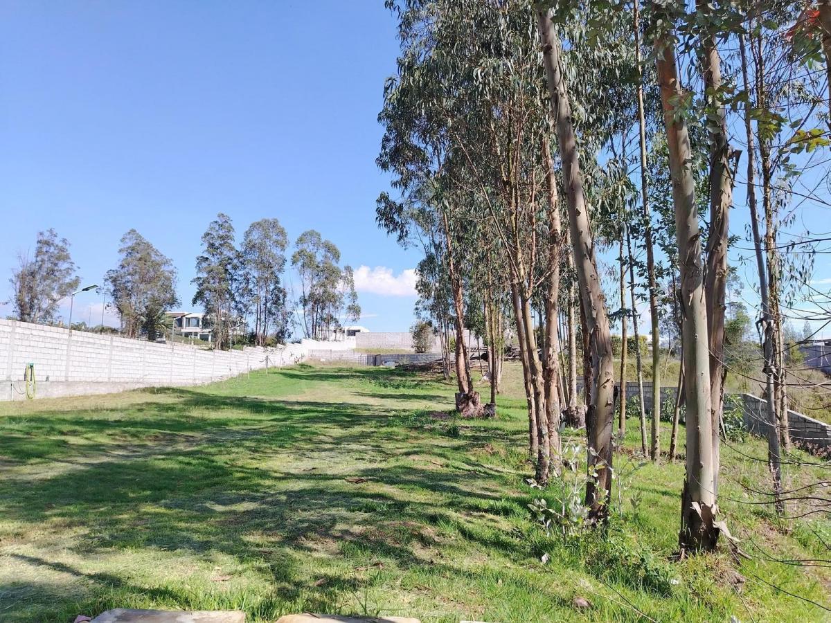 Terreno 2.300 m² con Cerrramiento, Llano Chico Excelente Urbanización — imagen 8