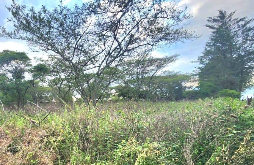 Venta de Terreno de 8500 m en La Cerámica, Tumbaco — imagen 9