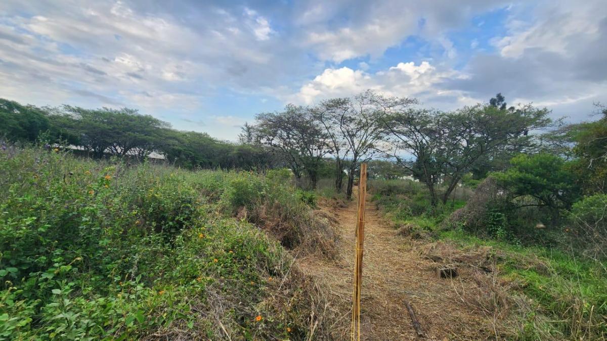 Venta de Terreno de 8500 m en La Cerámica, Tumbaco — imagen 8