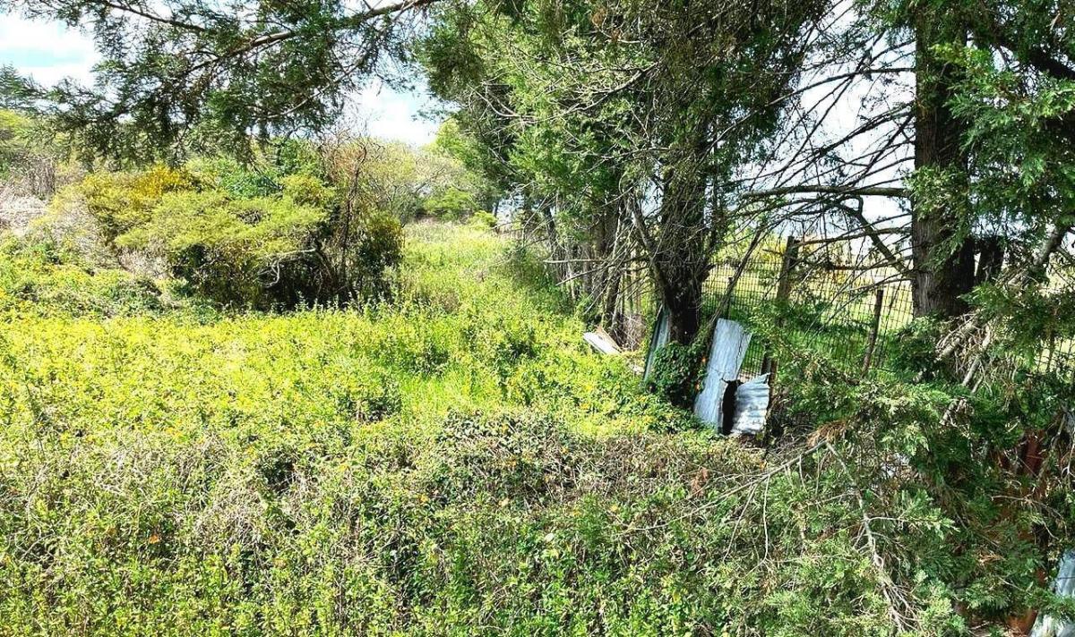 Venta de Terreno de 8500 m en La Cerámica, Tumbaco — imagen 7