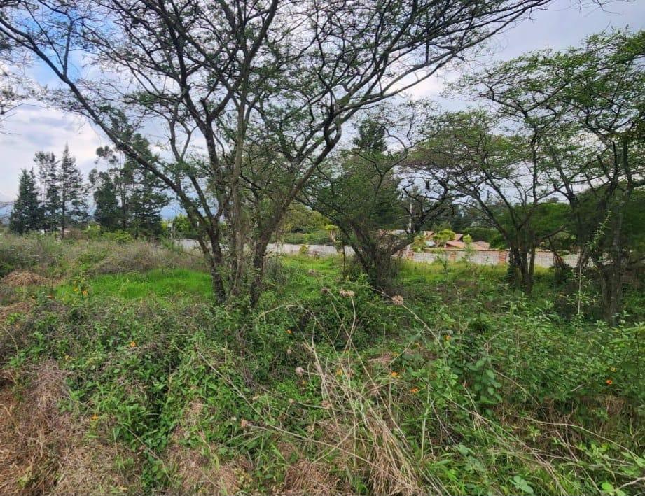 Venta de Terreno de 8500 m en La Cerámica, Tumbaco — imagen 6