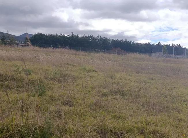 Terreno en Venta en Tabacundo — imagen 7