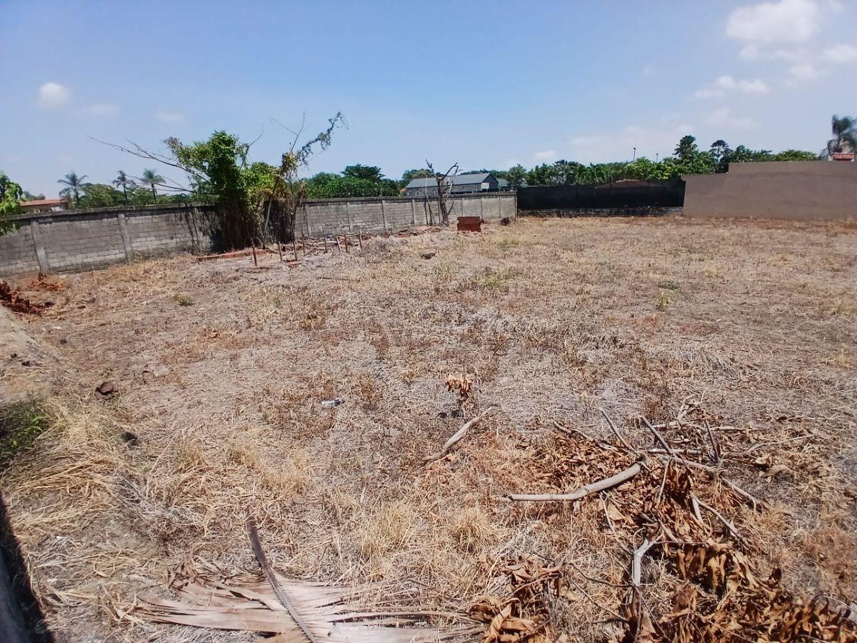Terreno en Venta 2253 El Cortijo Samborondon, Guayas — imagen 5