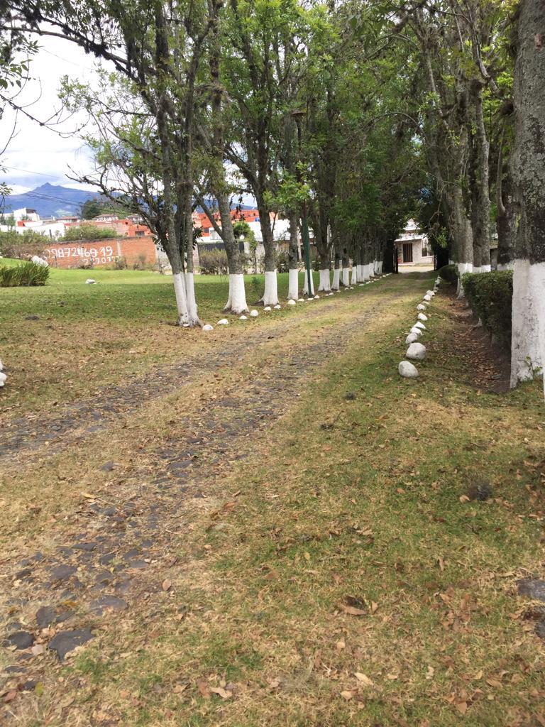Quinta con Amplio Terreno, Cerca Av Ilaló, Vía Al Tingo, Valle de Los Chillos — imagen 7