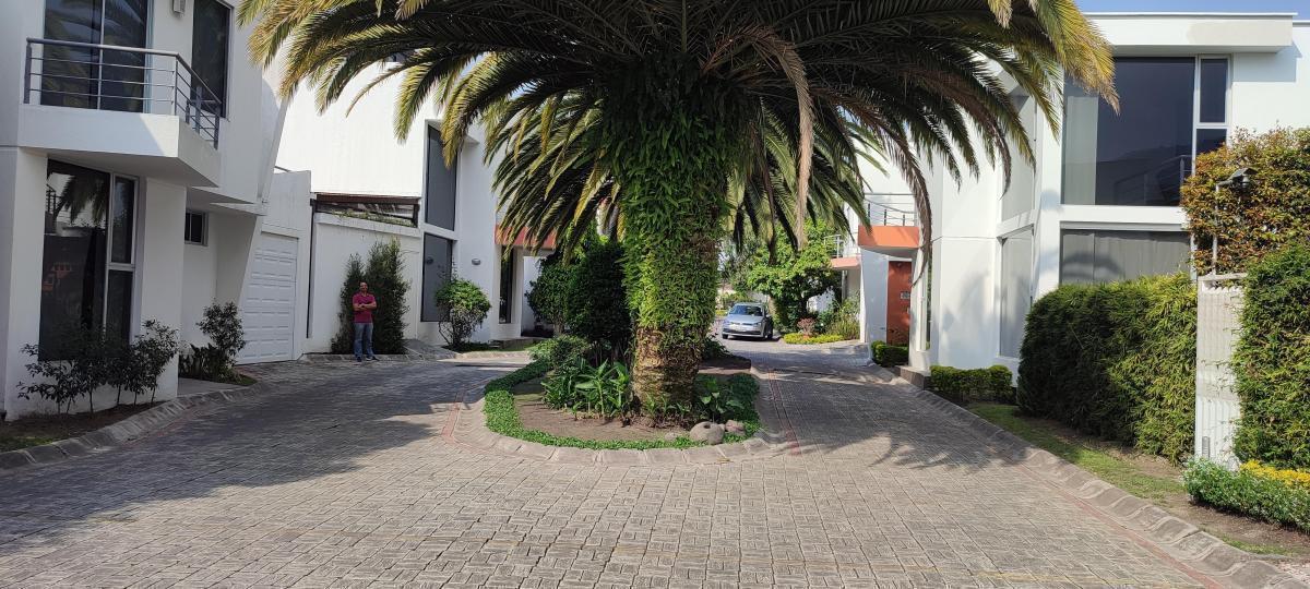 Tumbaco Vendo Casa Remodelada 3 Dorm. $295.000 Conjunto Privado — imagen 10