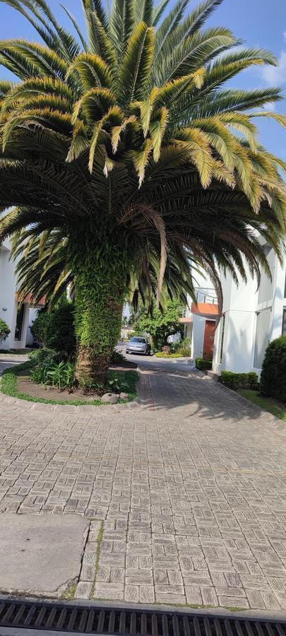 Tumbaco Vendo Casa Remodelada 3 Dorm. $295.000 Conjunto Privado — imagen 9