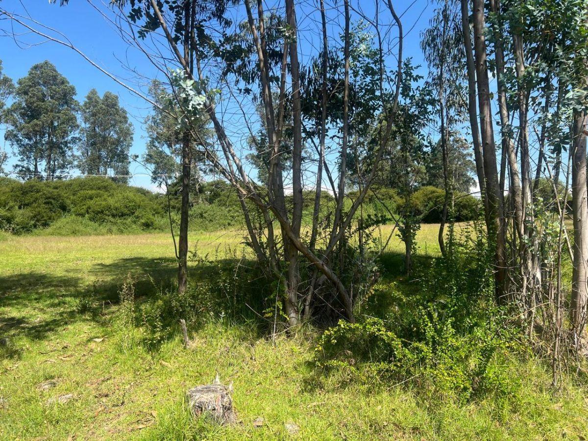 Vendo 2 Terrenos Iguales Cada de 1140 m². La Betania, Alangasi — imagen 7