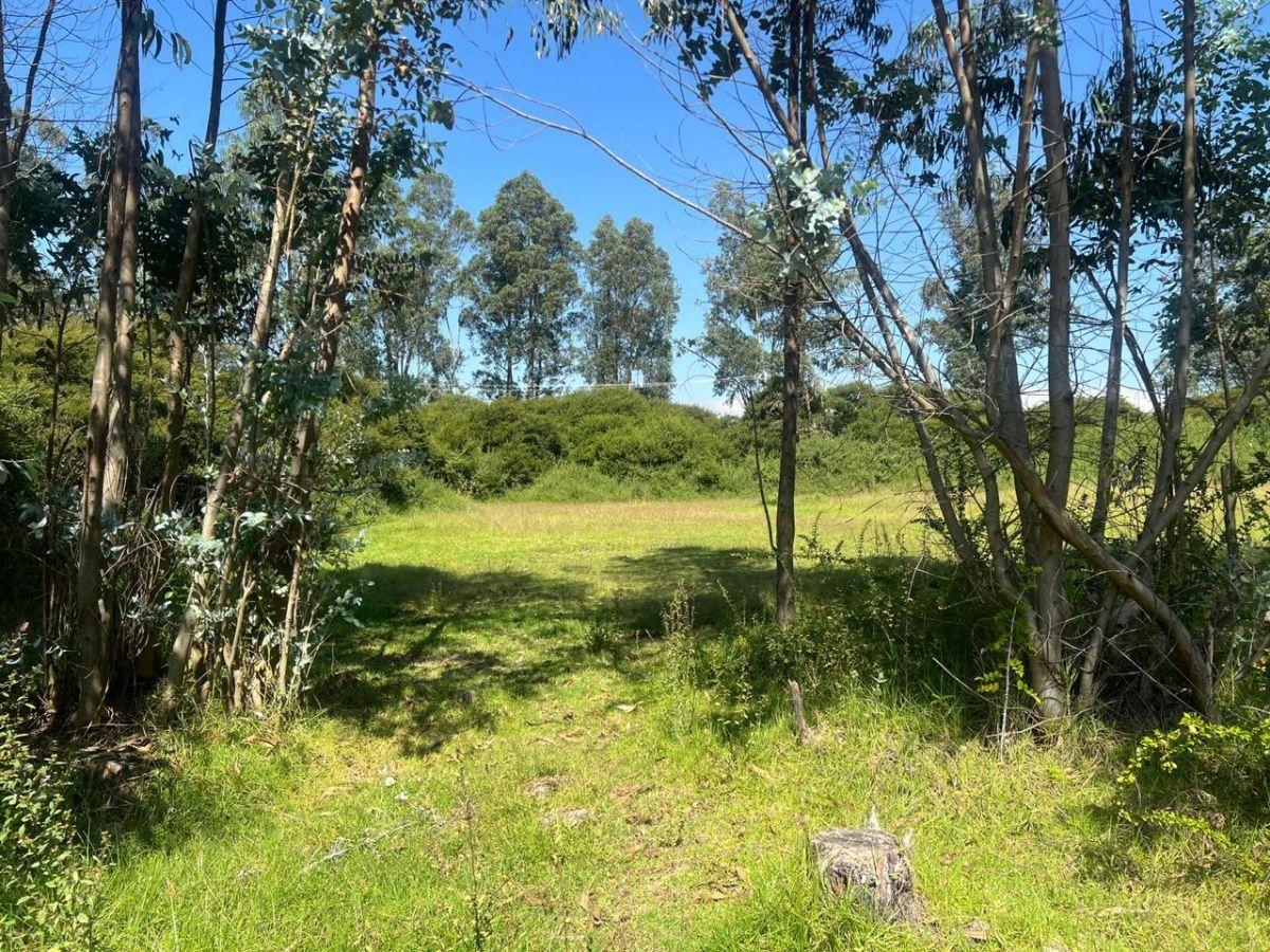 Vendo 2 Terrenos Iguales Cada de 1140 m². La Betania, Alangasi — imagen 6