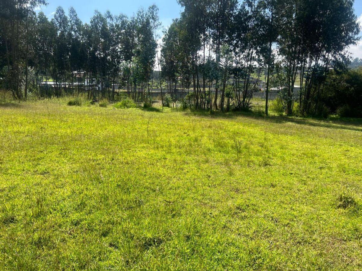 Vendo 2 Terrenos Iguales Cada de 1140 m². La Betania, Alangasi — imagen 5