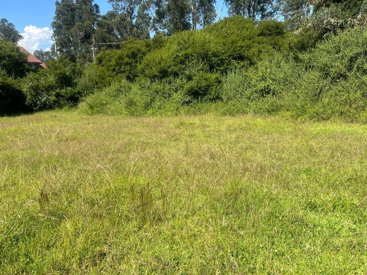 Vendo 2 Terrenos Iguales Cada de 1140 m². La Betania, Alangasi — imagen 4