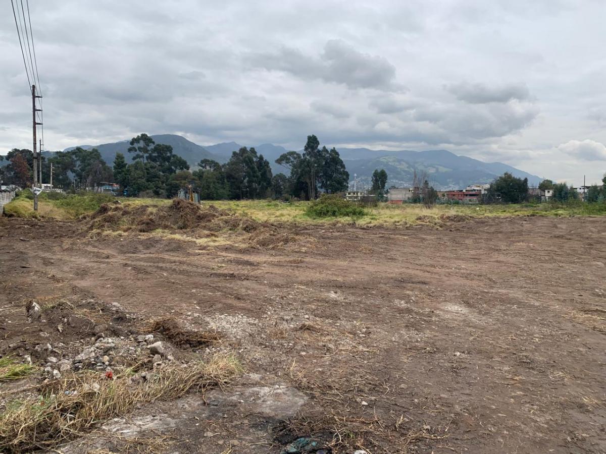 Terreno Industrial en Zona Estrategica Sur de Quitono — imagen 4