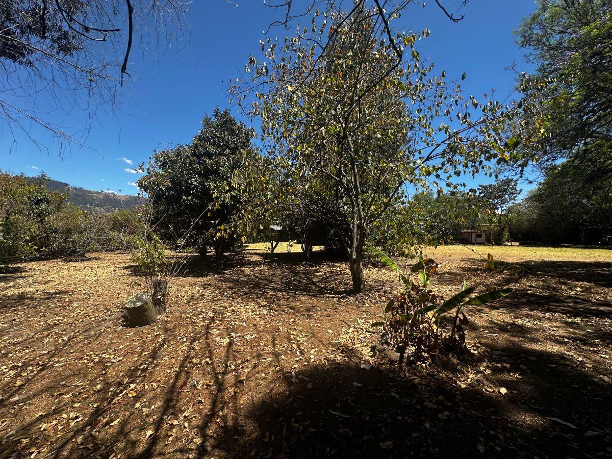 Se Vende Terreno con Casa Dentro de Urbanización en Cumbaya — imagen 7