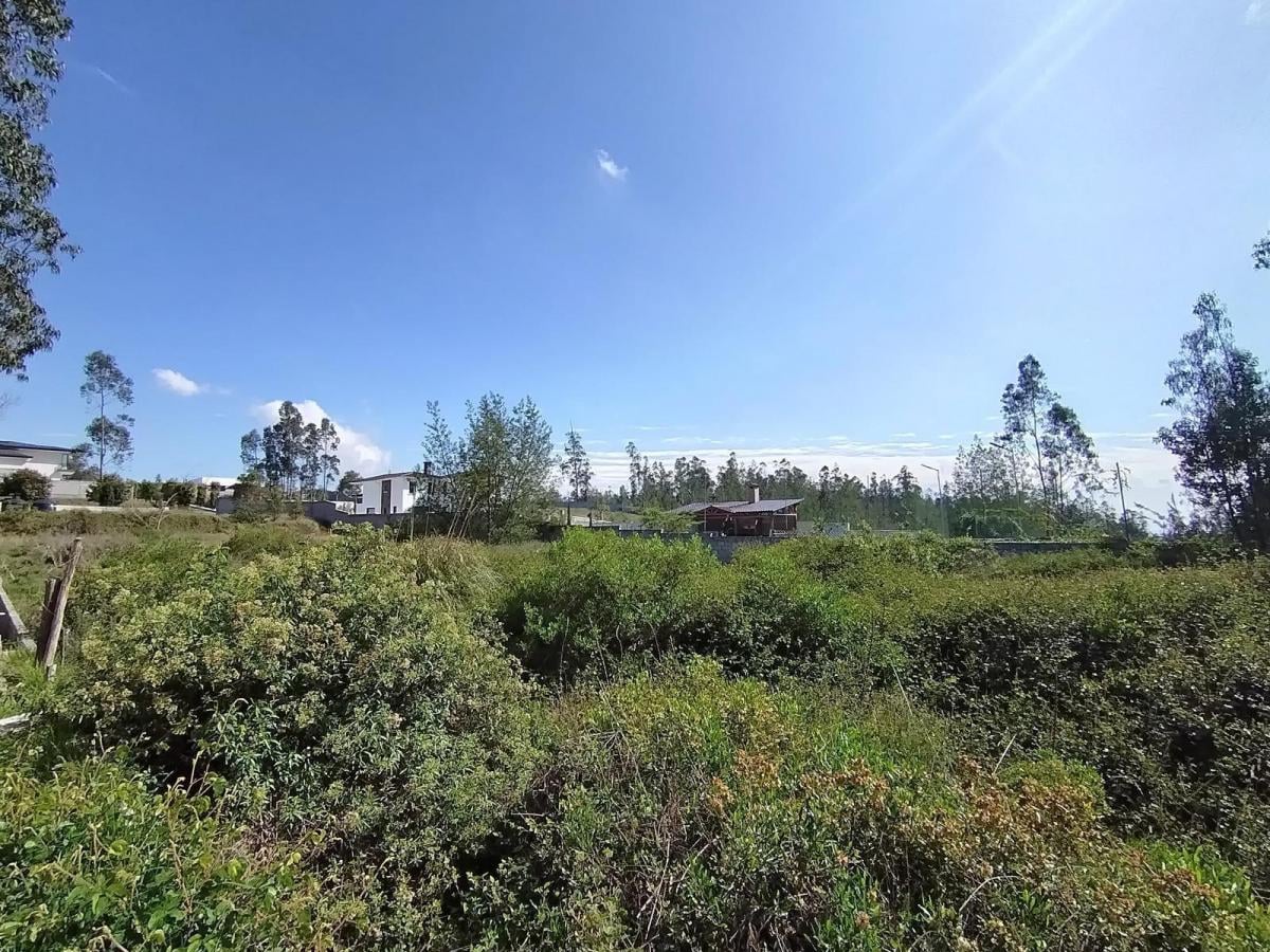 Venta de Terreno de 2300 m² en Llano Chico Dentro de Exclusiva Urbanización — imagen 9