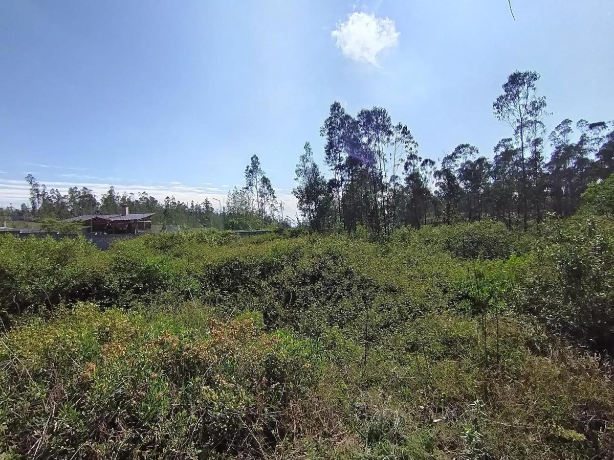 Venta de Terreno de 2300 m² en Llano Chico Dentro de Exclusiva Urbanización — imagen 6