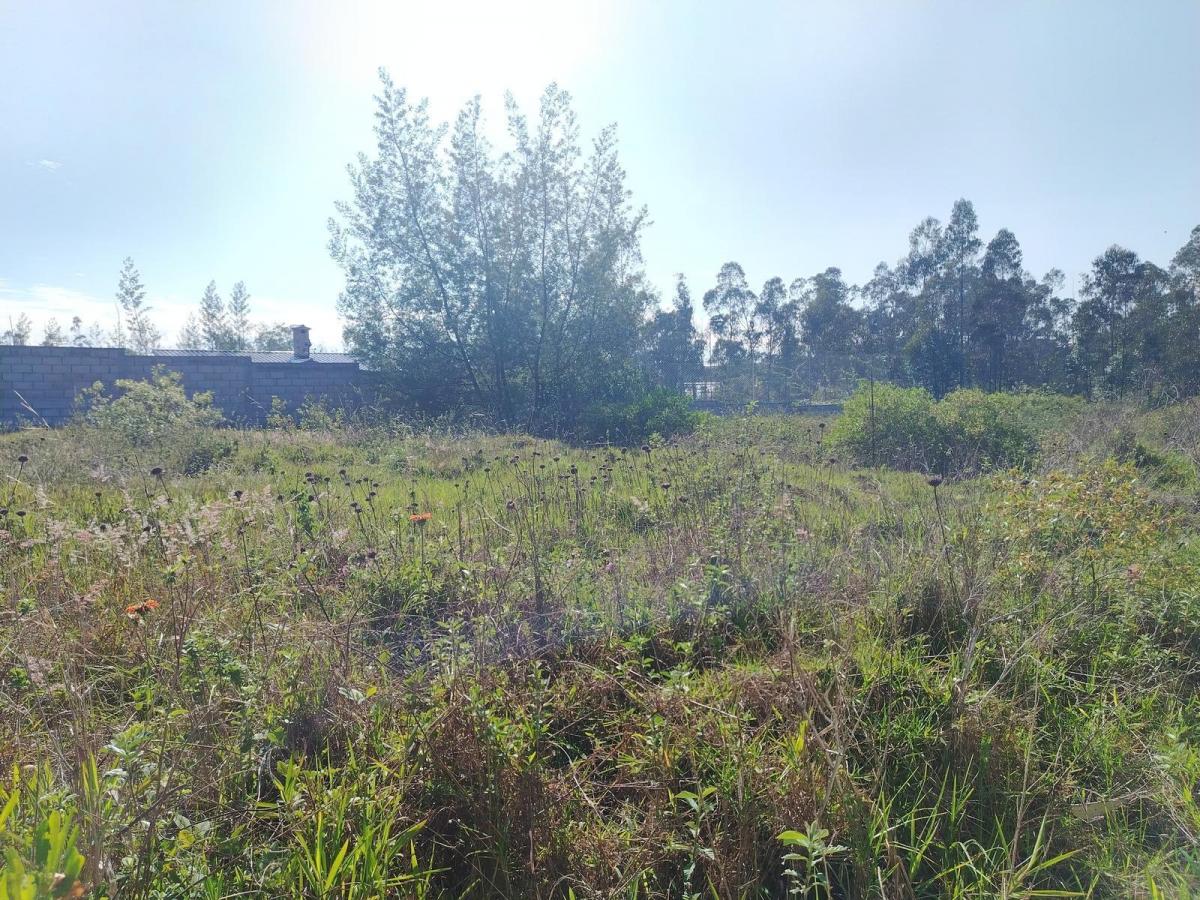 Venta de Terreno de 2300 m² en Llano Chico Dentro de Exclusiva Urbanización — imagen 3