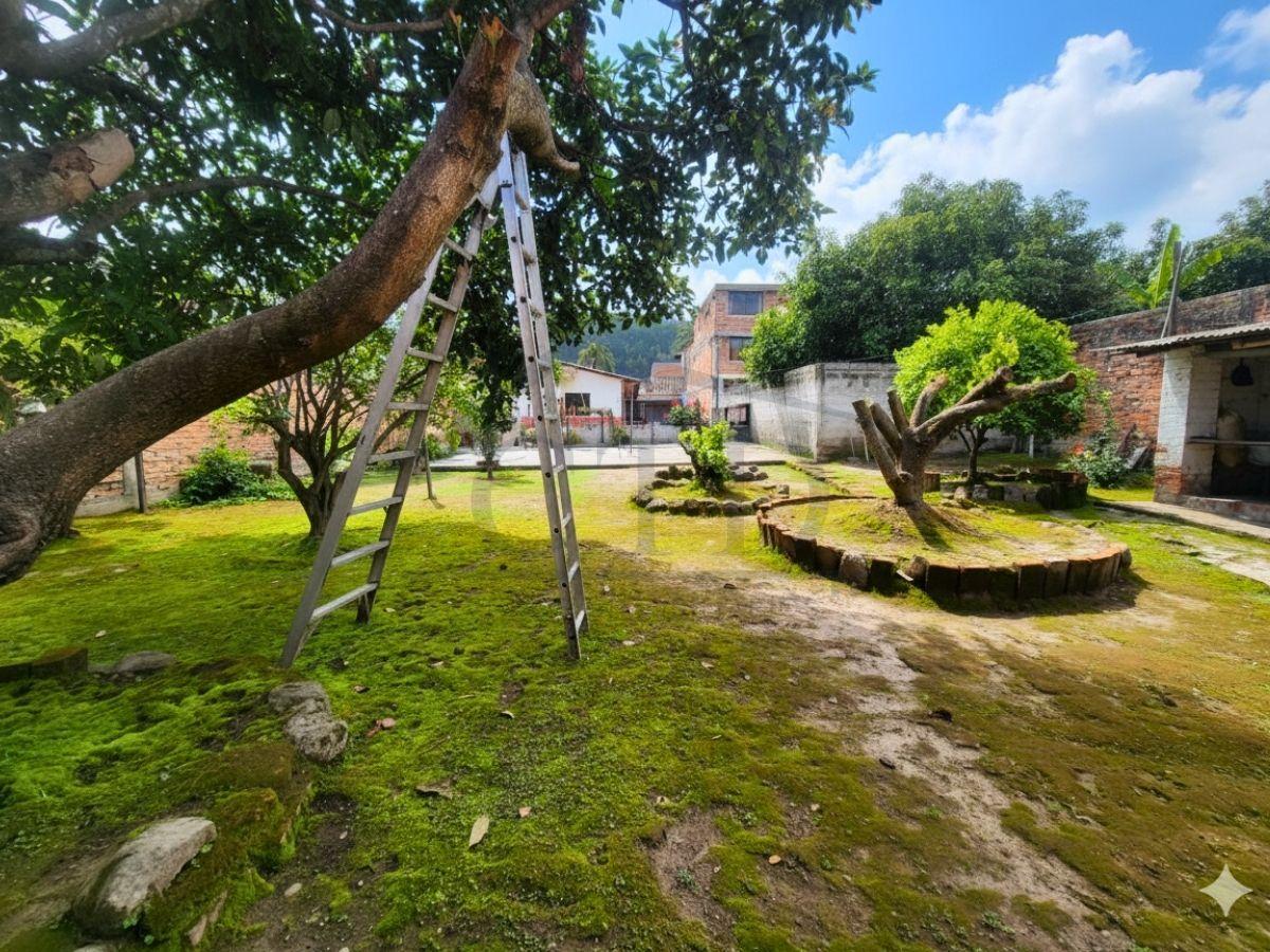 Terreno de 625 m² en Venta en El Centro de Ibarra, Sector Los Ceibos, Imbabura — imagen 4