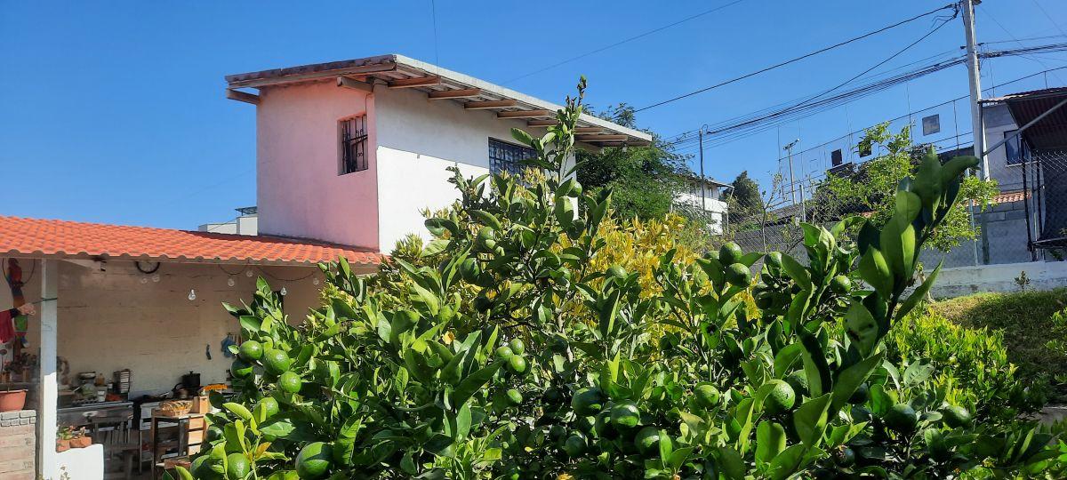 Vendo Terreno de 600 m en Urbanización en Yaruqui — imagen 6