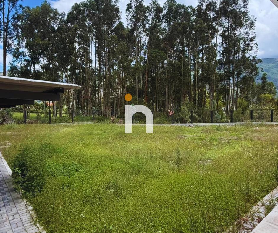 Propiedad en Venta / Zhumir - Paute, Azuay — imagen 6