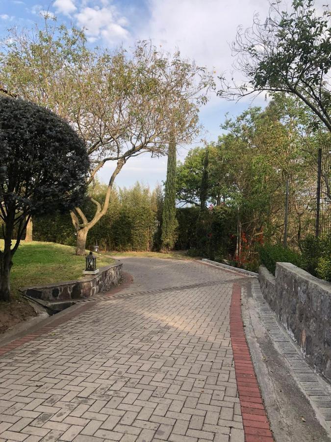 Casa de Venta Cumbaya Sector Colegio Sek — imagen 6