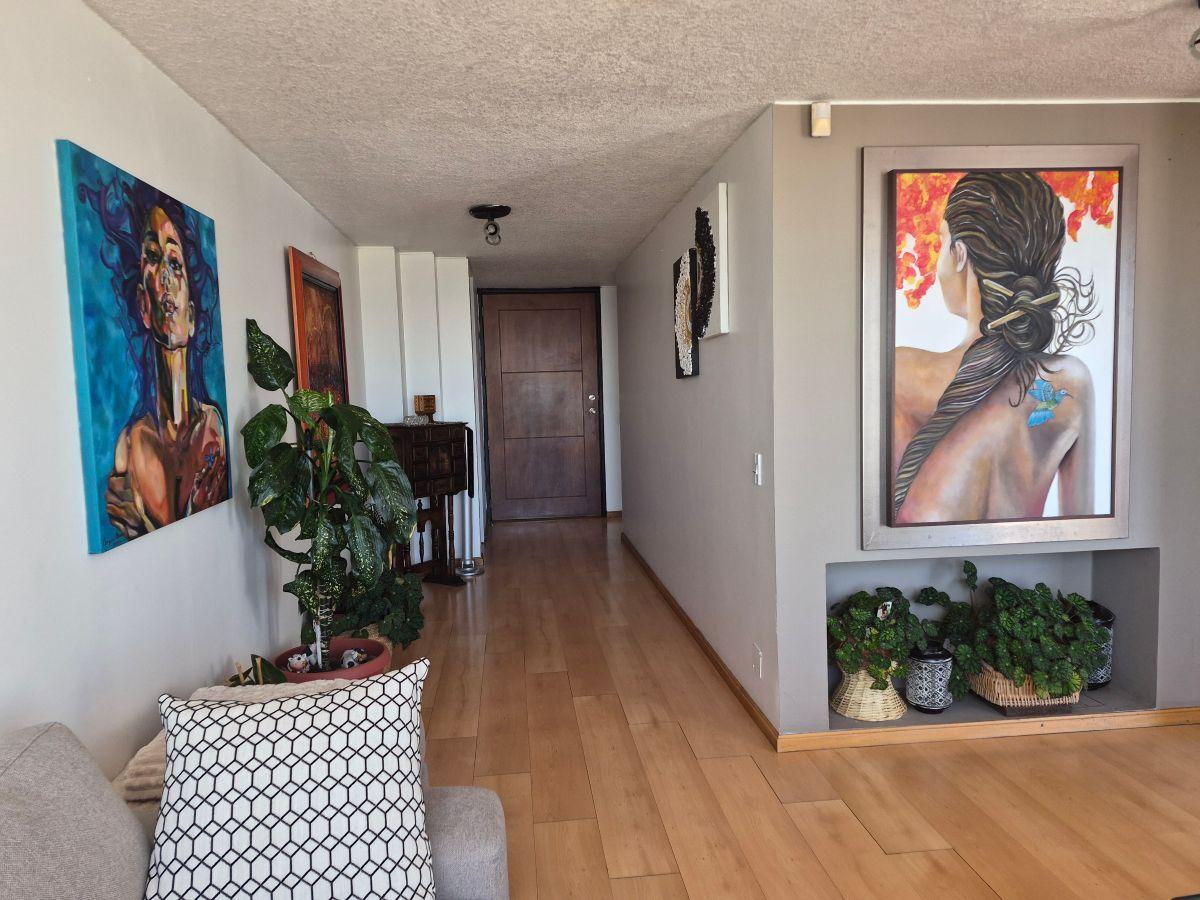 Departamento de 374 m² con 4 Dorm. en Venta en El Bosque — imagen 7