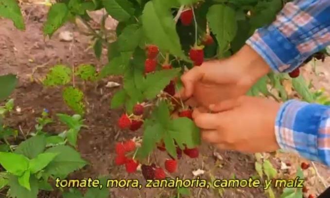 Linda Propiedad de Venta San Jose de Minas Como Terreno — imagen 6
