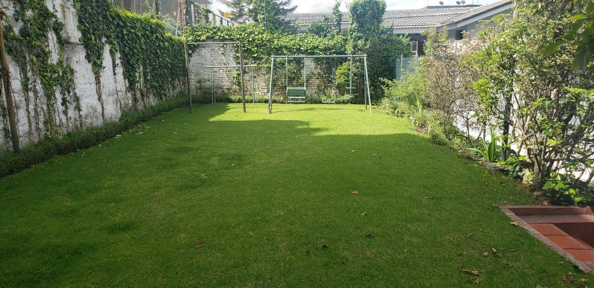 Venta Casa Bellavista Amplia Jardin Terraza 6 Dorm. 643 m — imagen 10