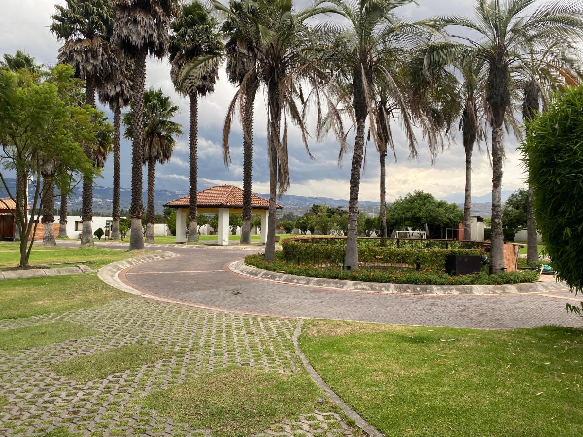 Se Vende Hermosa Propiedad en Puembo (Prox. Arrayanes) — imagen 9
