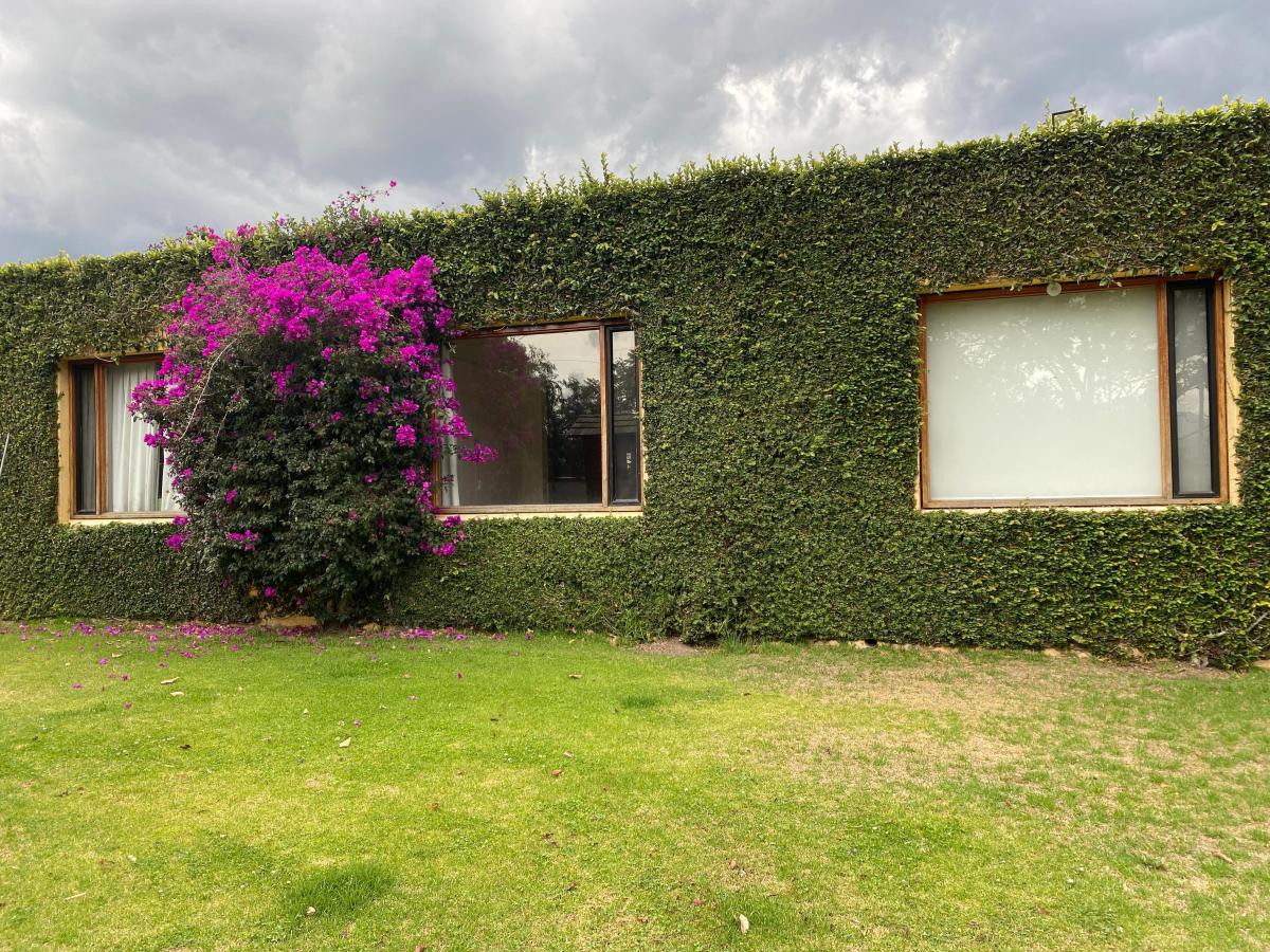 Se Vende Hermosa Propiedad en Puembo (Prox. Arrayanes) — imagen 6