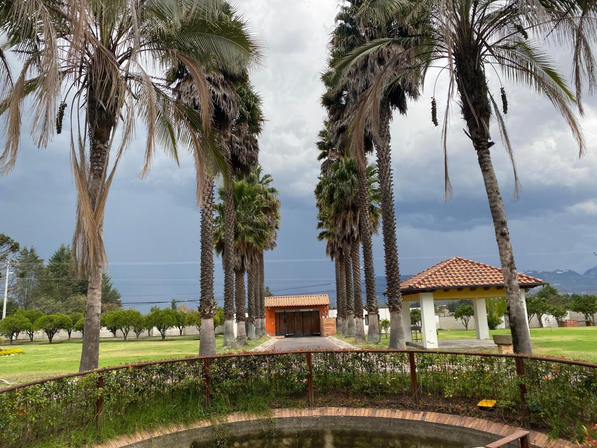 Se Vende Hermosa Propiedad en Puembo (Prox. Arrayanes) — imagen 4