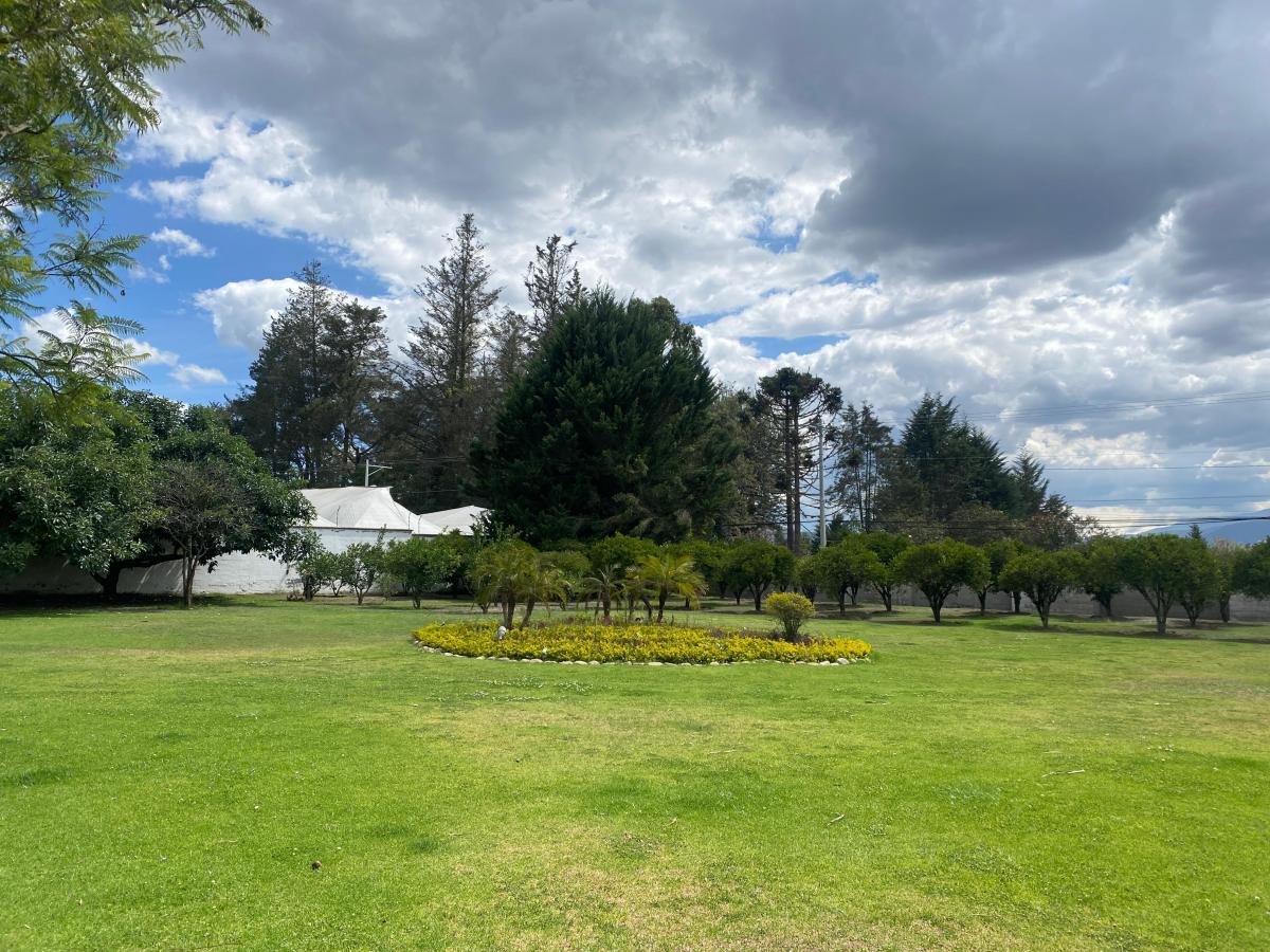 Se Vende Hermosa Propiedad en Puembo (Prox. Arrayanes) — imagen 3