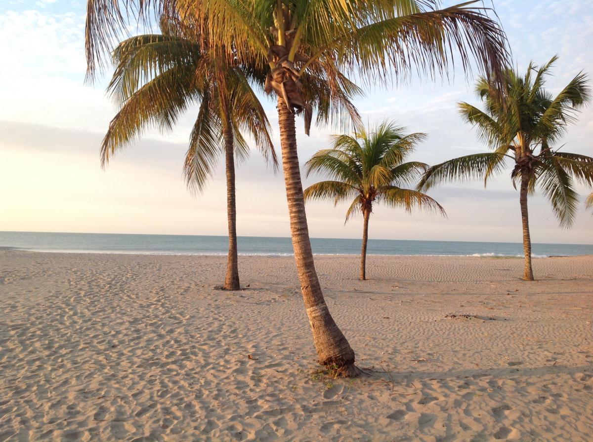 Venta Departamento 4 Dorm. 140 m² Amoblado Norte de Atacames - Atacames — imagen 6