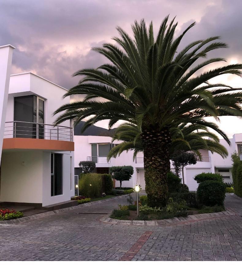 Casa en Venta en Tumbaco | 286 m² Construcción + 123 m² Jardín — imagen 9