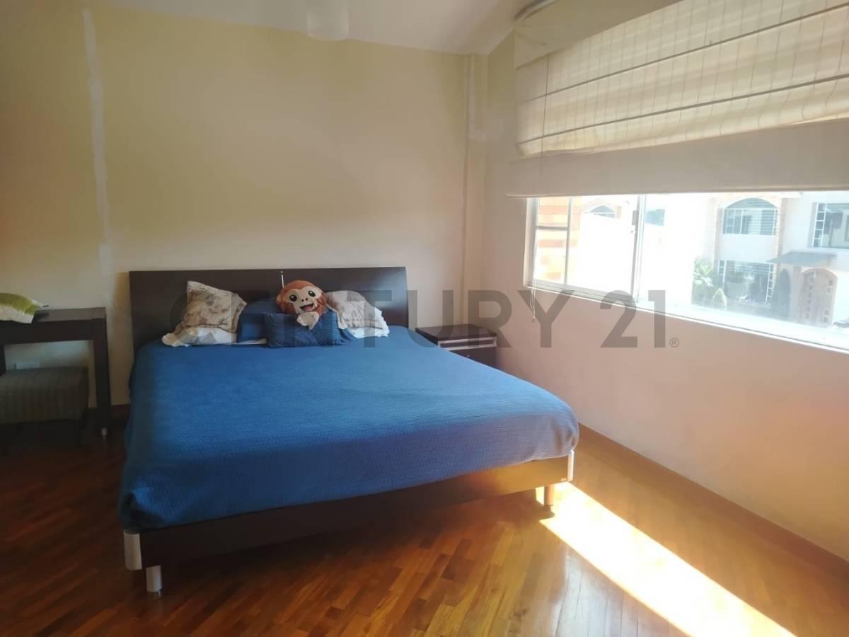 Casa en Playa Chica San Rafael — imagen 7