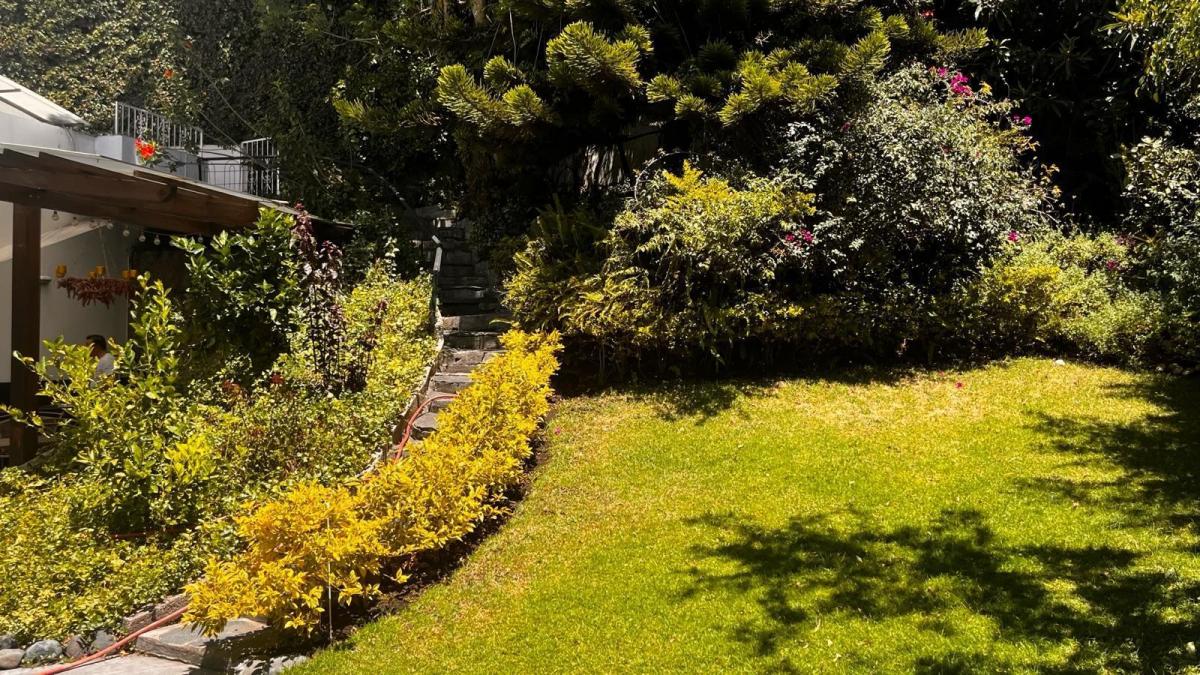 Casa - Cumbayá — imagen 9
