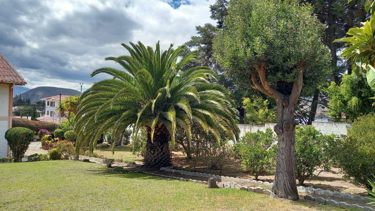 Vendo Casa de Madera con Terreno con Arboles Frutales en La Urb. Oasis, Cerca del Kartódromo. Provincia de Pichincha — imagen 8