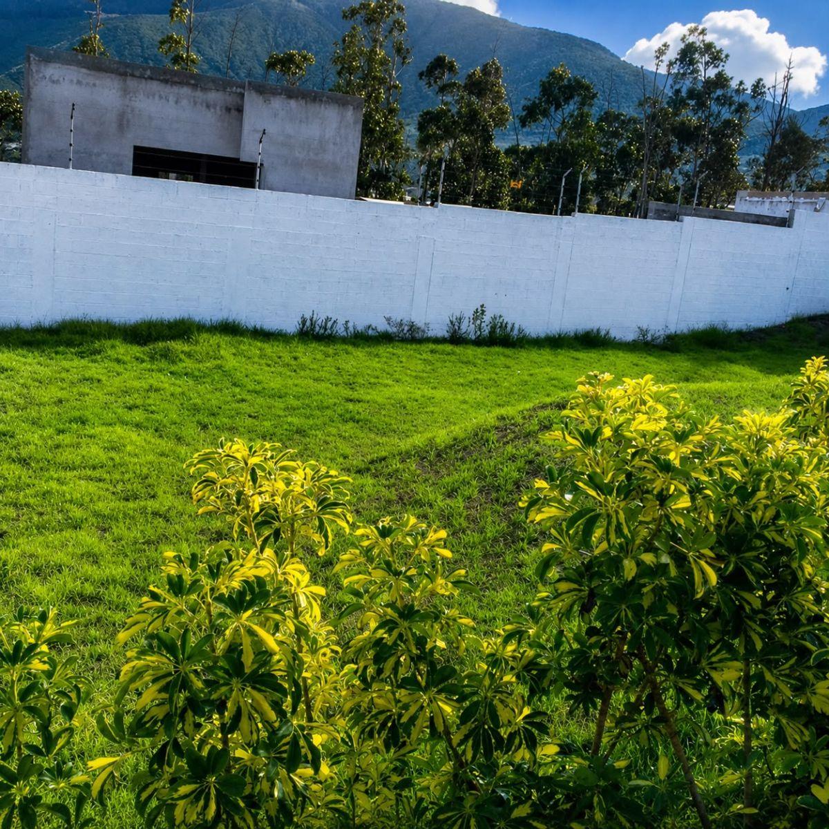 Casa de 770 m² con 3 Dorm. Venta Mitad del Mundo — imagen 7