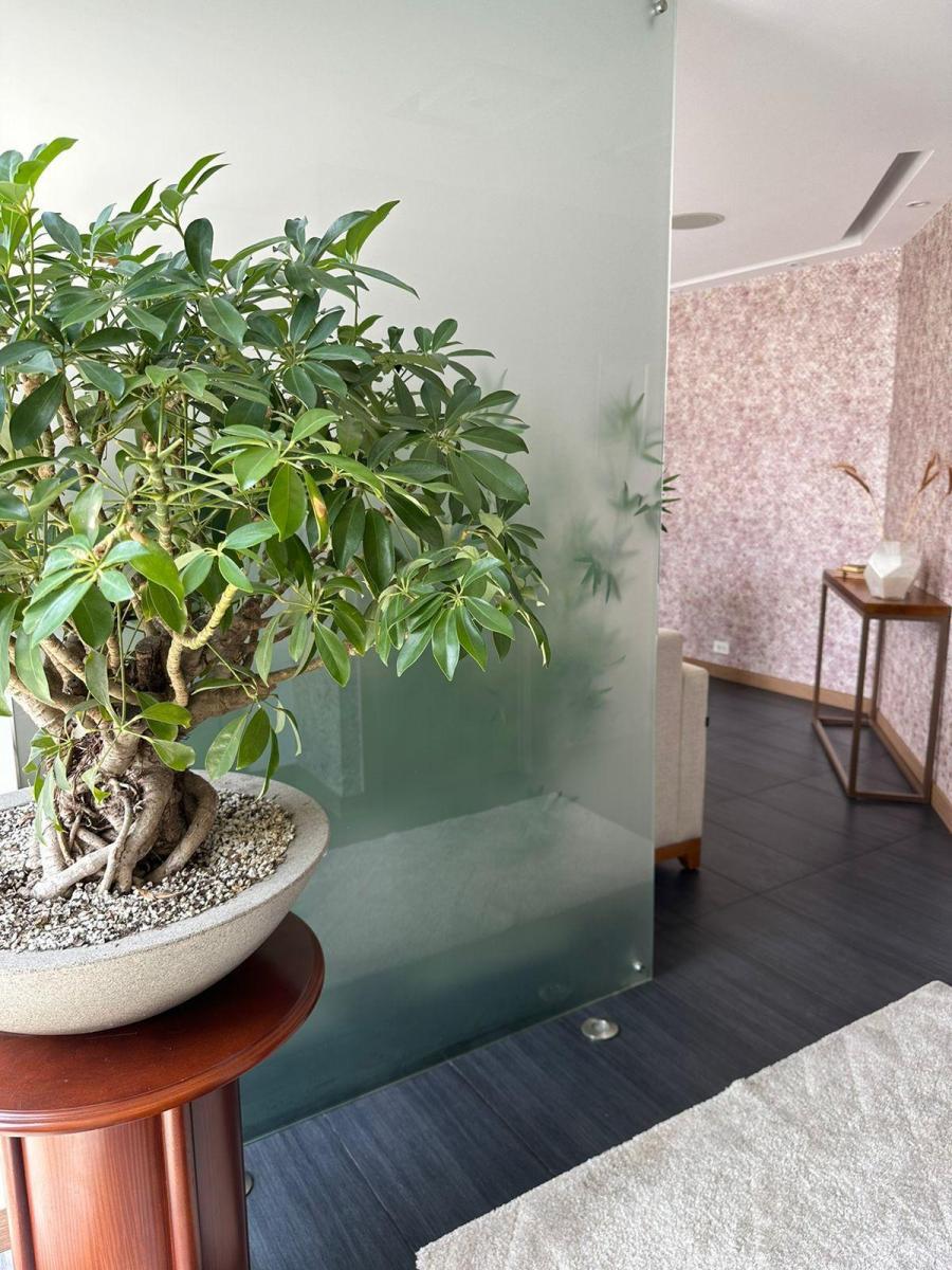 Moderno Departamento Céntrico con Terrazas - Cumbaya — imagen 7